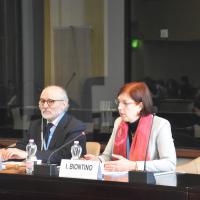 Consultation on the relationship between the GFMD and the GCM