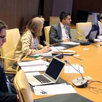30 April 2015 - Geneva. 2nd Preparatory Meetings of Government RT Teams