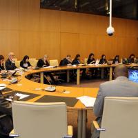 06 February 2015 - Geneva. 1st Preparatory Meetings of Government RT Teams