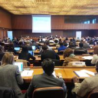 29 April 2015 - Geneva. Thematic Meeting on the Role of Communications